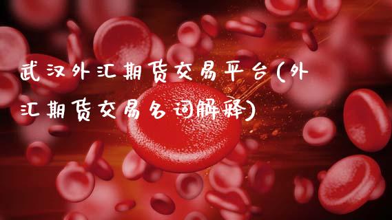 武汉外汇期货交易平台(外汇期货交易名词解释)_https://www.xmqjcw.com_期货开户_第1张
