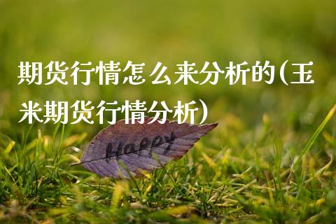 期货行情怎么来分析的(玉米期货行情分析)_https://www.xmqjcw.com_期货直播室_第1张