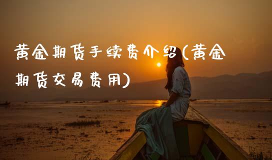 黄金期货手续费介绍(黄金期货交易费用)_https://www.xmqjcw.com_期货百科_第1张