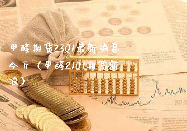 甲醇期货2301最新消息今天（甲醇2101期货新浪）_https://www.xmqjcw.com_期货投资_第1张