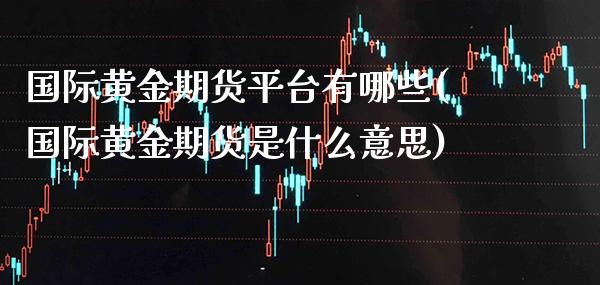 国际黄金期货平台有哪些(国际黄金期货是什么意思)_https://www.xmqjcw.com_期货投资_第1张