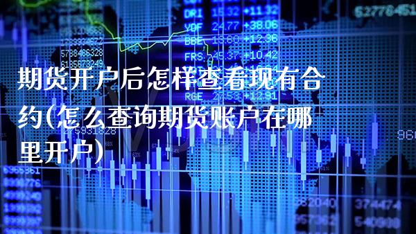 期货开户后怎样查看现有合约(怎么查询期货账户在哪里开户)_https://www.xmqjcw.com_期货直播室_第1张