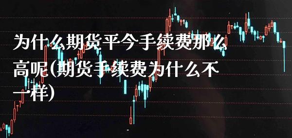 为什么期货平今手续费那么高呢(期货手续费为什么不一样)_https://www.xmqjcw.com_期货行情_第1张