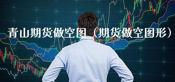 青山期货做空图（期货做空图形）_https://www.xmqjcw.com_期货投资_第1张