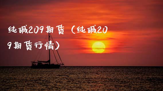 纯碱209期货（纯碱209期货行情）_https://www.xmqjcw.com_期货投资_第1张