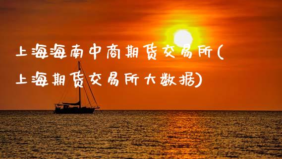 上海海南中商期货交易所(上海期货交易所大数据)_https://www.xmqjcw.com_期货百科_第1张
