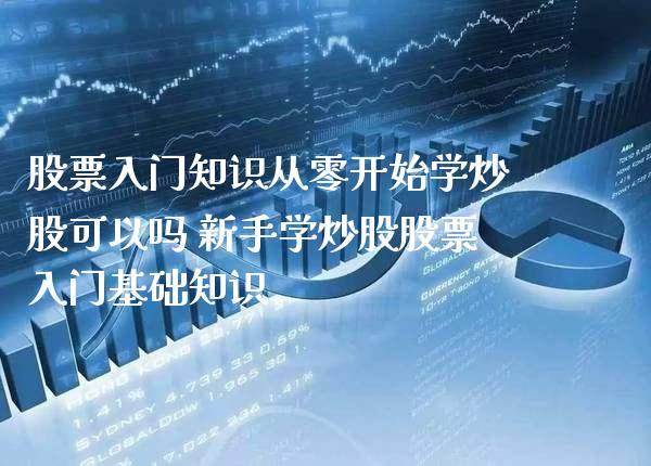 股票入门知识从零开始学炒股可以吗 新手学炒股股票入门基础知识_https://www.xmqjcw.com_股票投资_第1张