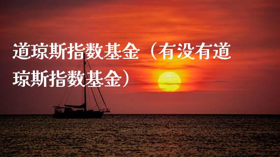 道琼斯指数基金（有没有道琼斯指数基金）_https://www.xmqjcw.com_期货投资_第1张