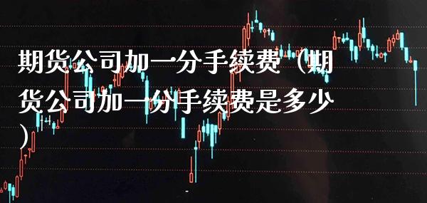 期货公司加一分手续费（期货公司加一分手续费是多少）_https://www.xmqjcw.com_期货直播室_第1张