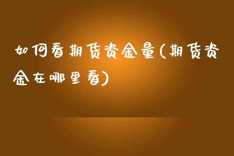 如何看期货资金量(期货资金在哪里看)_https://www.xmqjcw.com_期货百科_第1张