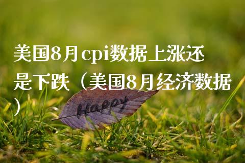 美国8月cpi数据上涨还是下跌（美国8月经济数据）_https://www.xmqjcw.com_期货投资_第1张