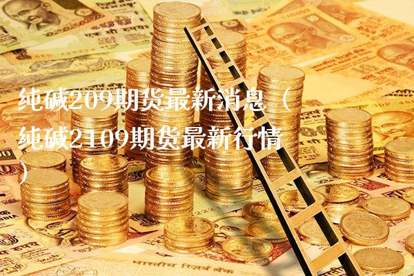 纯碱209期货最新消息（纯碱2109期货最新行情）_https://www.xmqjcw.com_期货投资_第1张