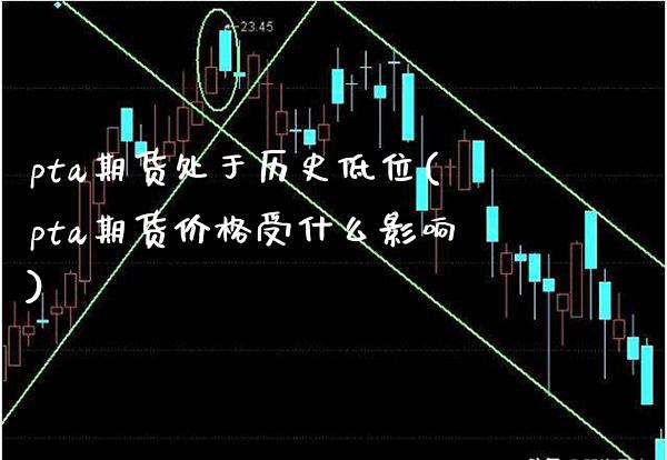 pta期货处于历史低位(pta期货价格受什么影响)_https://www.xmqjcw.com_股票投资_第1张