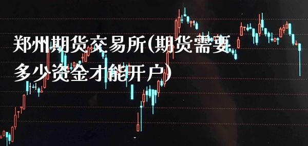郑州期货交易所(期货需要多少资金才能开户)_https://www.xmqjcw.com_期货直播室_第1张