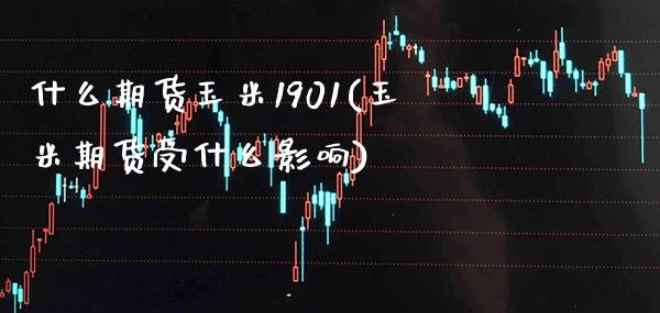 什么期货玉米1901(玉米期货受什么影响)_https://www.xmqjcw.com_期货百科_第1张