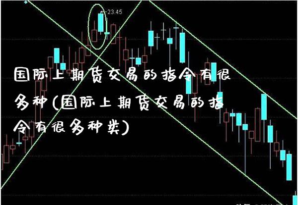 国际上期货交易的指令有很多种(国际上期货交易的指令有很多种类)_https://www.xmqjcw.com_期货直播室_第1张