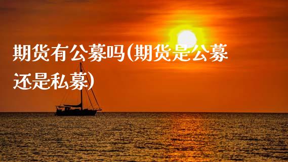 期货有公募吗(期货是公募还是私募)_https://www.xmqjcw.com_期货直播室_第1张
