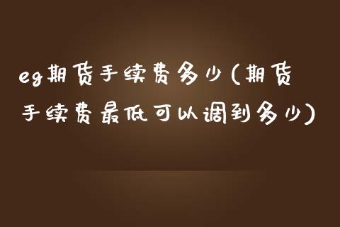 eg期货手续费多少(期货手续费最低可以调到多少)_https://www.xmqjcw.com_基金理财_第1张