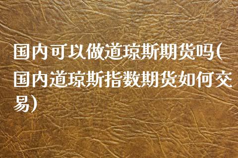 国内可以做道琼斯期货吗(国内道琼斯指数期货如何交易)_https://www.xmqjcw.com_期货投资_第1张