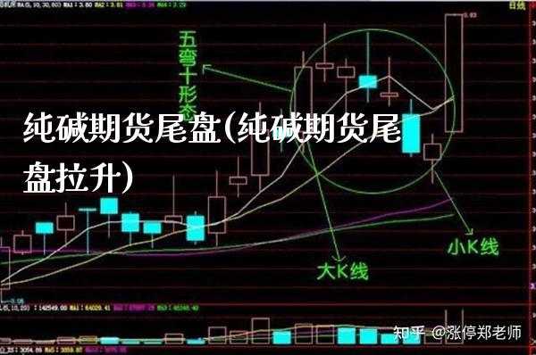 纯碱期货尾盘(纯碱期货尾盘拉升)_https://www.xmqjcw.com_期货开户_第1张