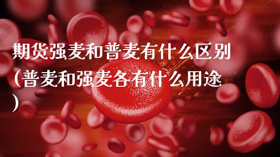 期货强麦和普麦有什么区别(普麦和强麦各有什么用途)_https://www.xmqjcw.com_期货百科_第1张