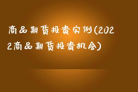 商品期货投资实例(2022商品期货投资机会)_https://www.xmqjcw.com_期货直播室_第1张