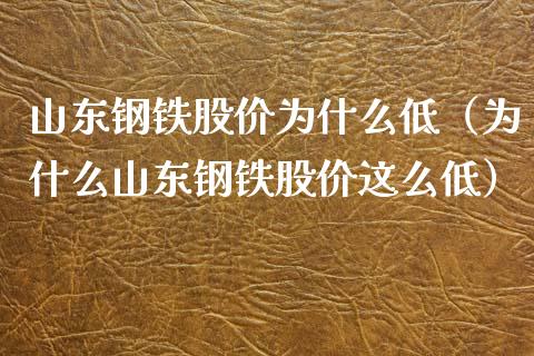 山东钢铁股价为什么低（为什么山东钢铁股价这么低）_https://www.xmqjcw.com_期货直播室_第1张