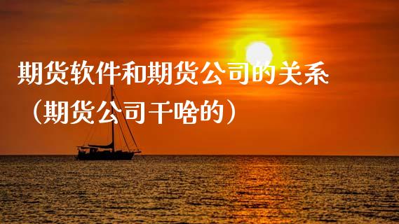 期货软件和期货公司的关系（期货公司干啥的）_https://www.xmqjcw.com_期货直播室_第1张