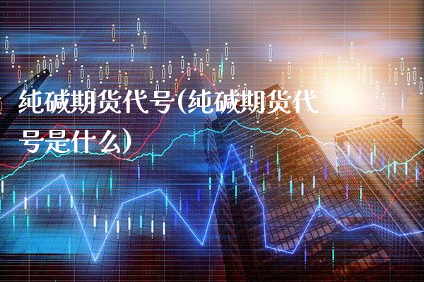 纯碱期货代号(纯碱期货代号是什么)_https://www.xmqjcw.com_期货投资_第1张