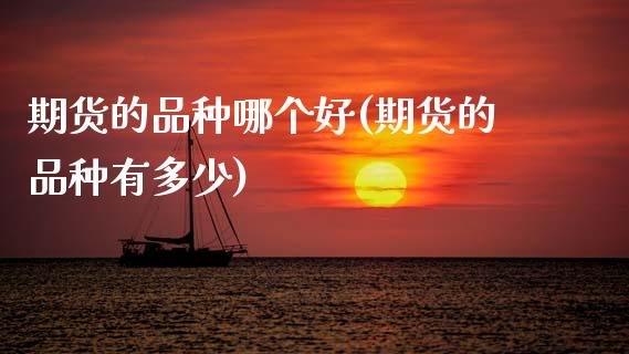 期货的品种哪个好(期货的品种有多少)_https://www.xmqjcw.com_期货百科_第1张