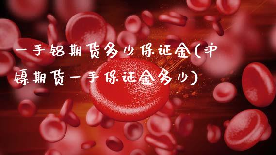 一手铝期货多少保证金(沪镍期货一手保证金多少)_https://www.xmqjcw.com_期货百科_第1张
