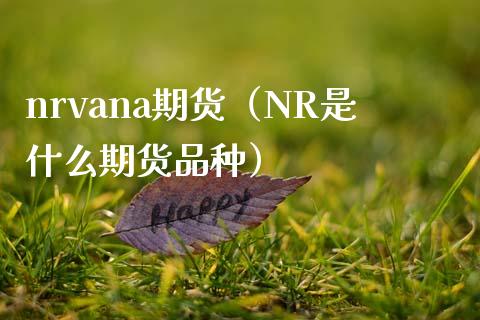 nrvana期货（NR是什么期货品种）_https://www.xmqjcw.com_期货投资_第1张