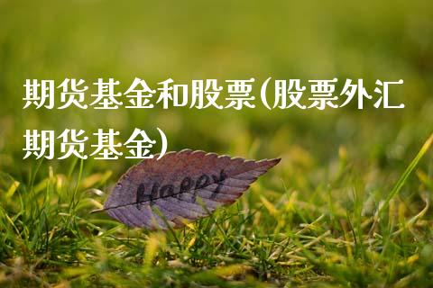 期货基金和股票(股票外汇期货基金)_https://www.xmqjcw.com_期货百科_第1张