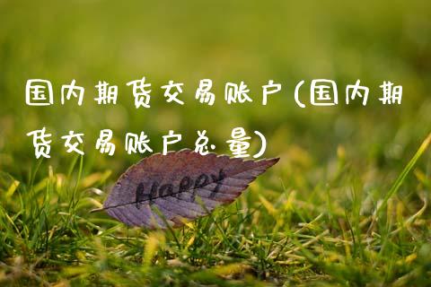 国内期货交易账户(国内期货交易账户总量)_https://www.xmqjcw.com_期货百科_第1张