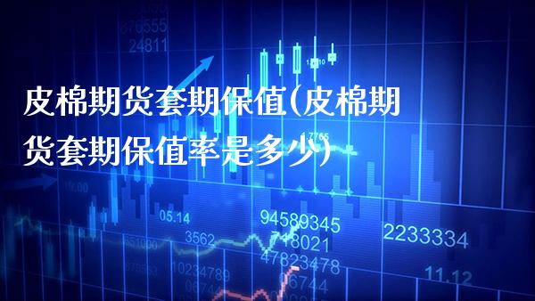 皮棉期货套期保值(皮棉期货套期保值率是多少)_https://www.xmqjcw.com_期货百科_第1张