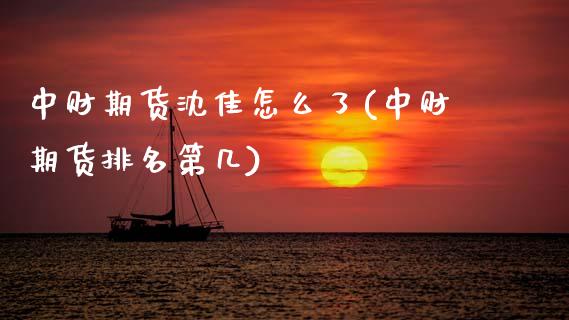 中财期货沈佳怎么了(中财期货排名第几)_https://www.xmqjcw.com_期货行情_第1张