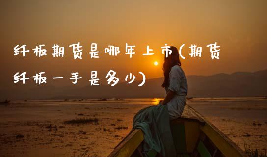 纤板期货是哪年上市(期货纤板一手是多少)_https://www.xmqjcw.com_期货百科_第1张