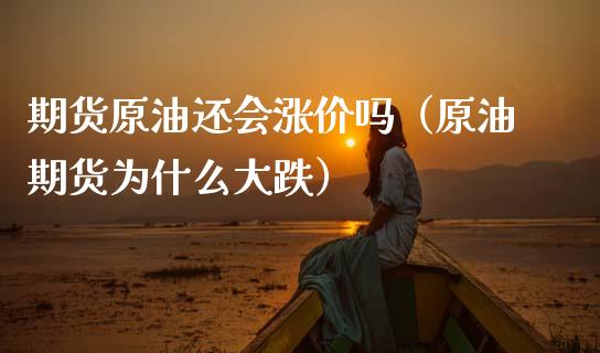 期货原油还会涨价吗（原油期货为什么大跌）_https://www.xmqjcw.com_期货投资_第1张