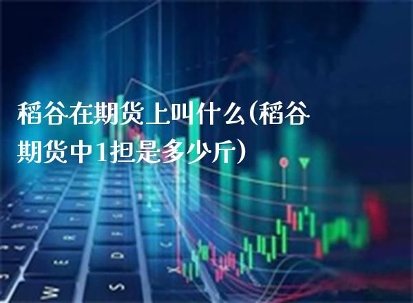 稻谷在期货上叫什么(稻谷期货中1担是多少斤)_https://www.xmqjcw.com_期货开户_第1张