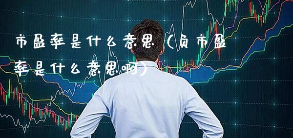 市盈率是什么意思（负市盈率是什么意思啊）_https://www.xmqjcw.com_期货投资_第1张