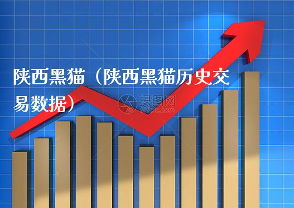 陕西黑猫（陕西黑猫历史交易数据）_https://www.xmqjcw.com_期货直播室_第1张