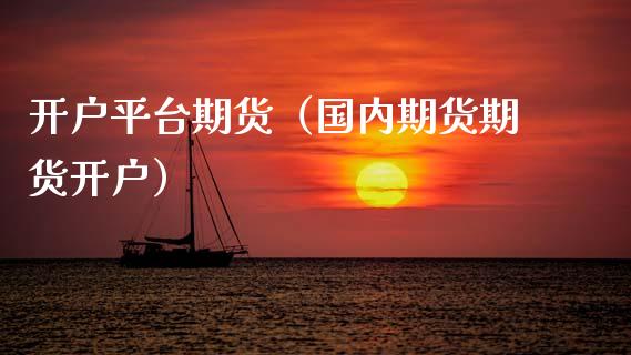 开户平台期货（国内期货期货开户）_https://www.xmqjcw.com_期货投资_第1张