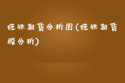 硅铁期货分析图(硅铁期货股分析)_https://www.xmqjcw.com_期货百科_第1张