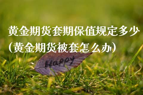 黄金期货套期保值规定多少(黄金期货被套怎么办)_https://www.xmqjcw.com_期货百科_第1张