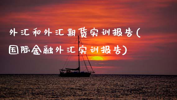 外汇和外汇期货实训报告(国际金融外汇实训报告)_https://www.xmqjcw.com_期货开户_第1张