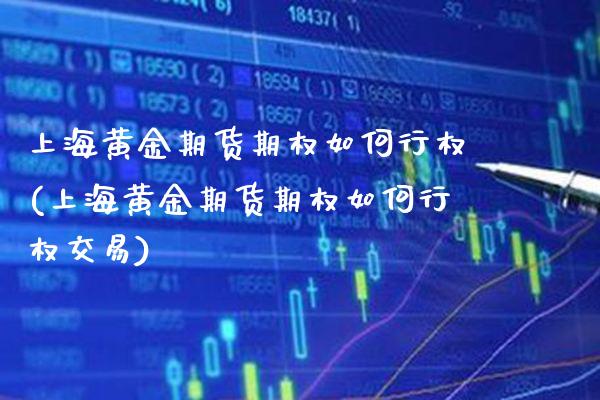 上海黄金期货期权如何行权(上海黄金期货期权如何行权交易)_https://www.xmqjcw.com_期货投资_第1张