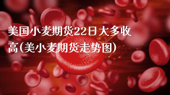 美国小麦期货22日大多收高(美小麦期货走势图)_https://www.xmqjcw.com_股票投资_第1张