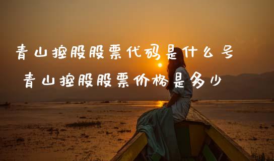 青山控股股票代码是什么号 青山控股股票价格是多少_https://www.xmqjcw.com_股票投资_第1张