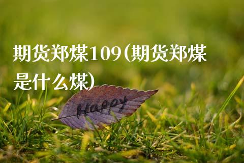 期货郑煤109(期货郑煤是什么煤)_https://www.xmqjcw.com_期货投资_第1张