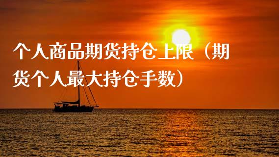 个人商品期货持仓上限（期货个人最大持仓手数）_https://www.xmqjcw.com_期货投资_第1张